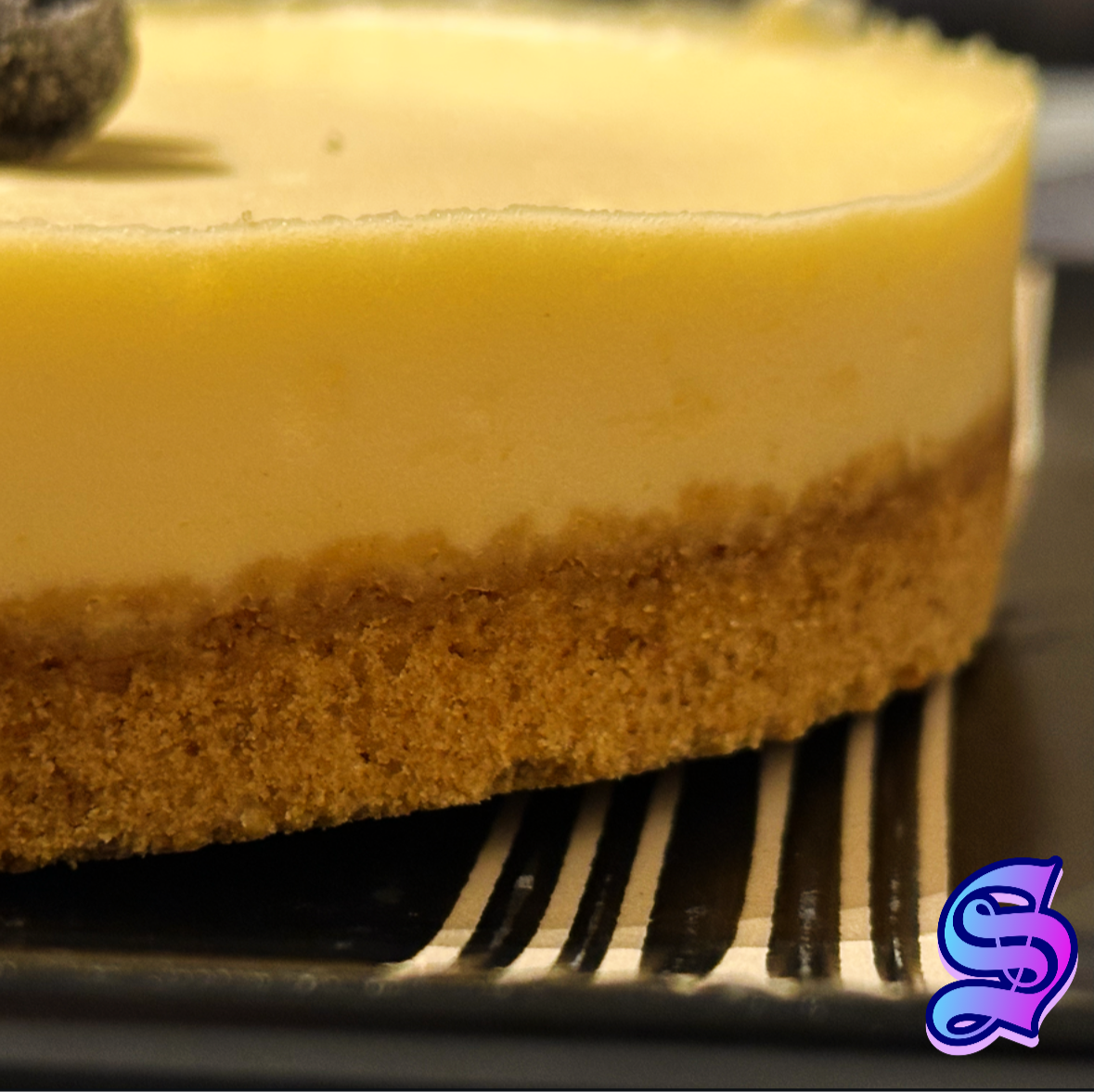 New York Vanilla Cheesecake 🤍